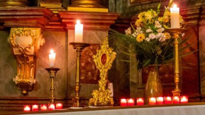 újweb_kiemelt_vashir_tranzitus előtt