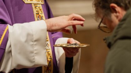 Hamvazószerda galéria